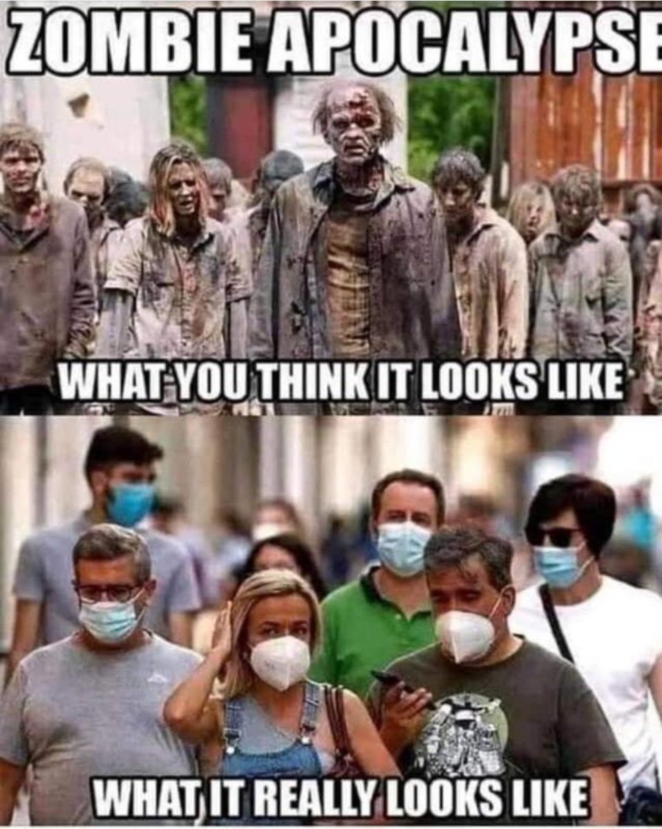 Scimitar_SS's tweet image. #NoMasks #MasksOff #MasksDoNotWork #MasksDontWork #Scamdemic #Plandemic #CoronaHoax #indoctrination #IWillNotComply #Zombies #MindControl