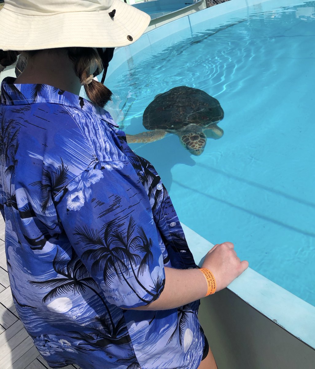JonesTravels's tweet photo. During the tour, you get to go behind the scenes to see the turtles. It is pretty amazing to see how @TurtleHospital helps the turtles. @thefloridakeys #ad #floridakeys #turtlehospital #theturtlehospital #keys #florida #familytravel #travel https://t.co/LRPkCvsUNN