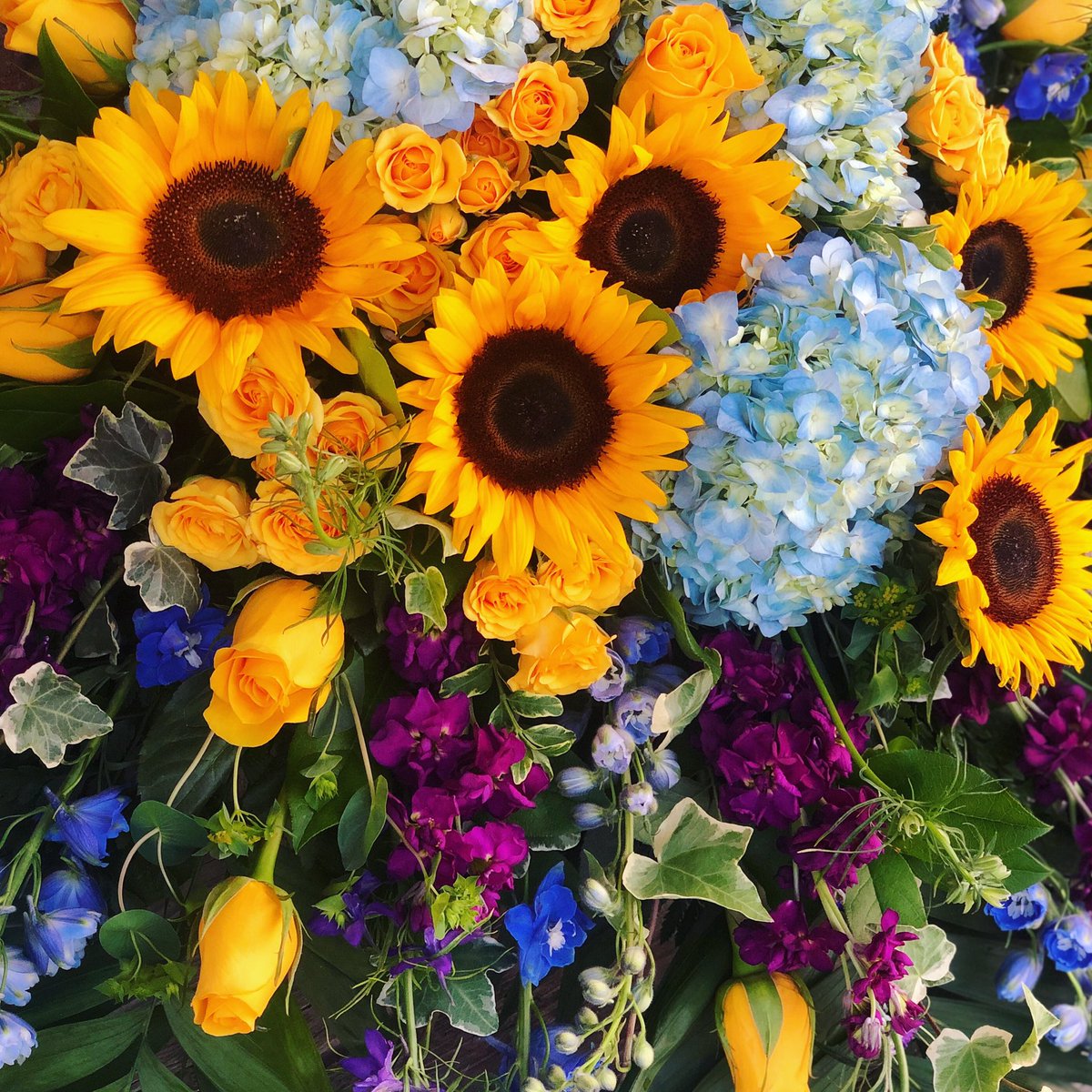 FloweramaC's tweet image. Everything is fine when there is sunshine ☀️ #thinkflowersthinkflowerama #alliseeispretty #inspiredbycolor #sunflowerseason