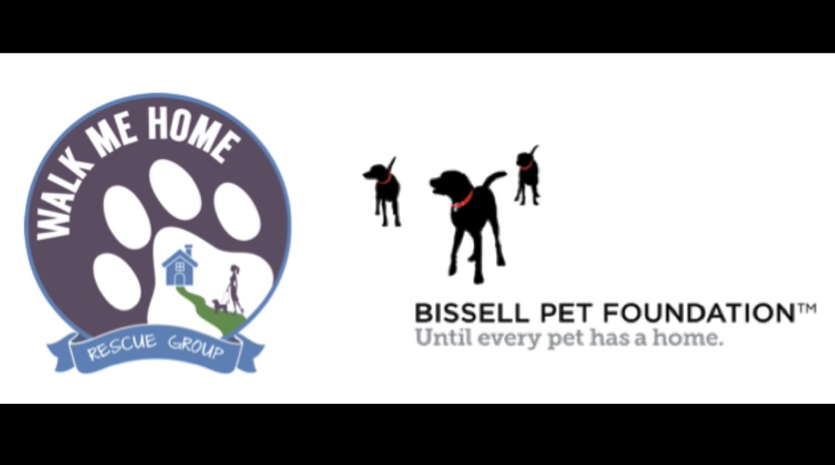 Walk Me Home Rescue Group Receives Grant from @BISSELLPets to Reduce the Homeless Pet Population in Southern California! We are grateful for all our volunteers, donors and supporters; this #grant will help to spay/neuter 30 of our #RescueDogs. BPF’s is funding 86 organizations!