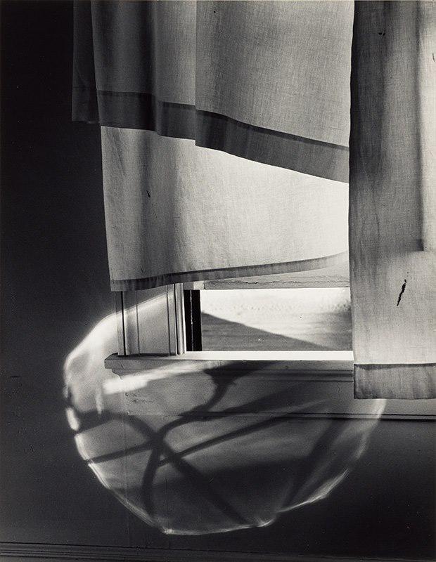 Minor White, Windowsill Daydreaming, Rochester, New York, 1958