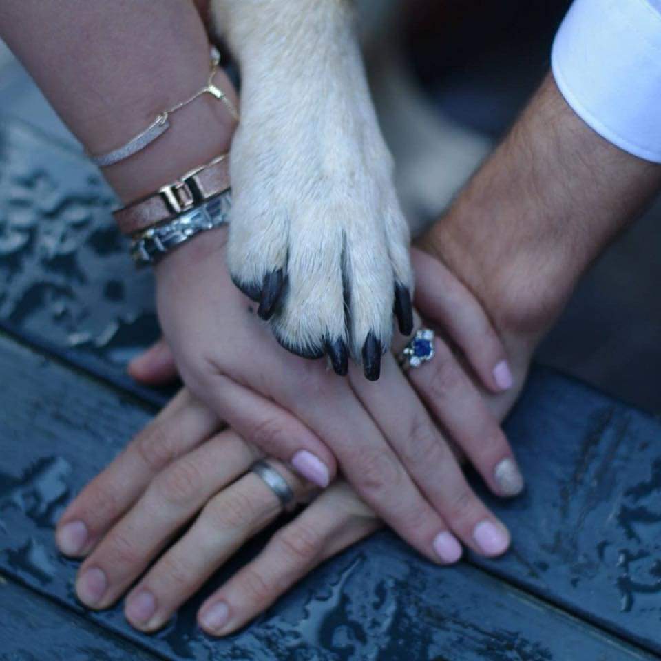 ArryCain's tweet photo. Me &amp; Mr Arry got married 4 years ago today! We didn't spend any of the day together, but we did have steak and chips for tea and then spent nearly 4 hours cooking dog treats for our best dog @ElvisTDog Keeping the dream alive 🤗🥰 https://t.co/PCS86fUo60