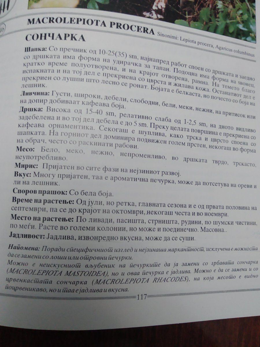 ZiveeDa's tweet photo. @Kita21808809 @skobaljhawks Другар не се секирај да знаеш сончарката е најбезбедна нема двојник. Можеш да прочиташ на сликата долу во напомена ти пишува https://t.co/C90XbzdAM0