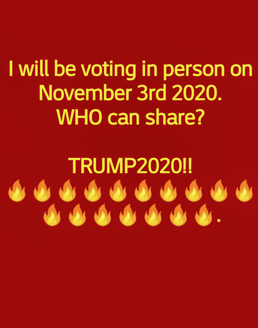 mollywhillock's tweet photo. @realDonaldTrump https://t.co/nsukev32jB