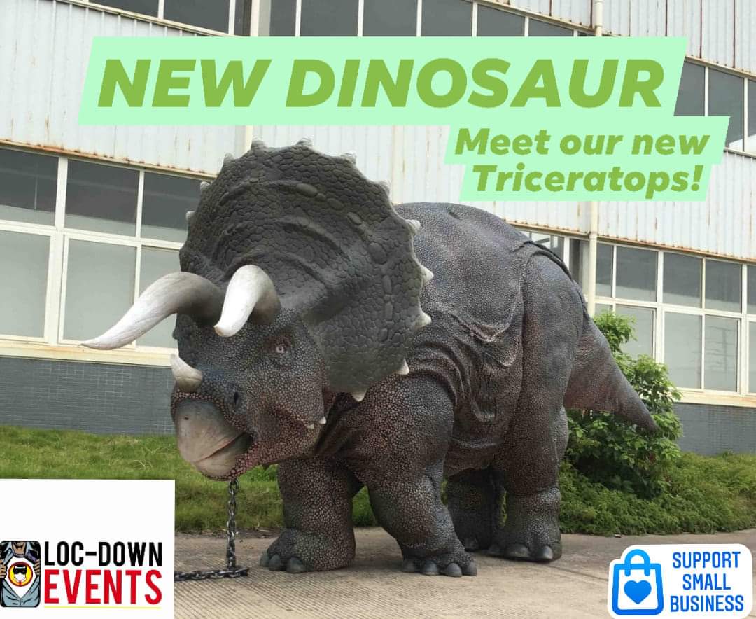 LOC_Downevents's tweet photo. We couldnt be more proud to unveil this absolute beauty!
#Dinosaurs #JurassicLocDown #DinosaurHireNI #locdownevents #Showstopper #GetInTouch https://t.co/jqgzXmemuv