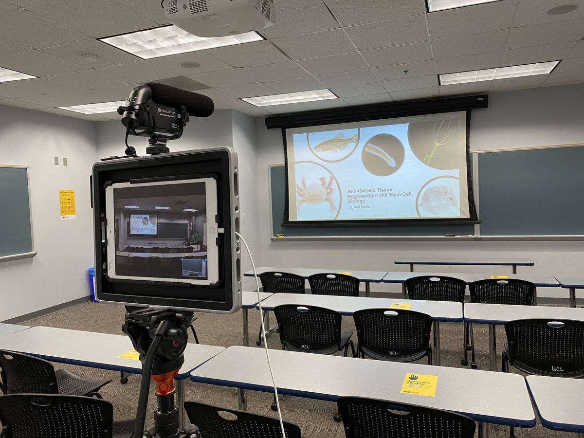 Welcome to the classroom of 2020! Look for my onscreen debut this Monday... #ASUSync #masksup #distancelearning #tissueregeneration