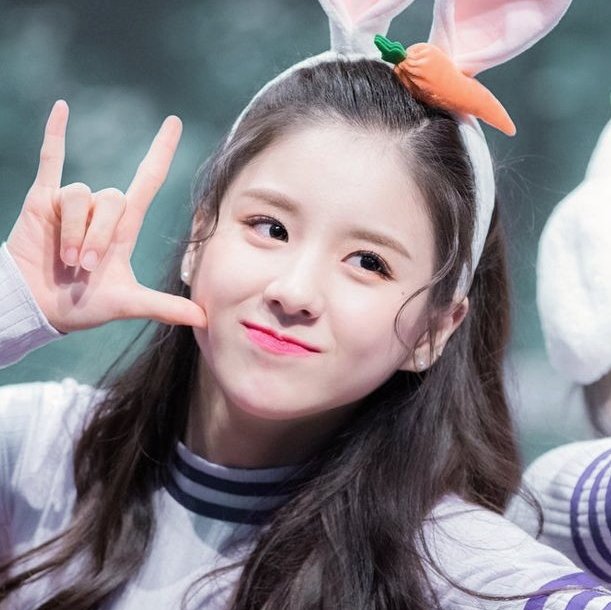 crushthetic's tweet photo. ₍˚❁ᵎ Heejin Aesthetic Packs ᵎ❁˚ ₎ 

🍃╎retweet or fav if you save or use our edit • ありがとう. 

#heejinaesthetic #heejinlayout #heejinaestheticpacks #heejinpacks #jeonheejin #heejin_loona #loona_heejin #loona_aesthetic #loonatheworld https://t.co/5dhmNfbGki