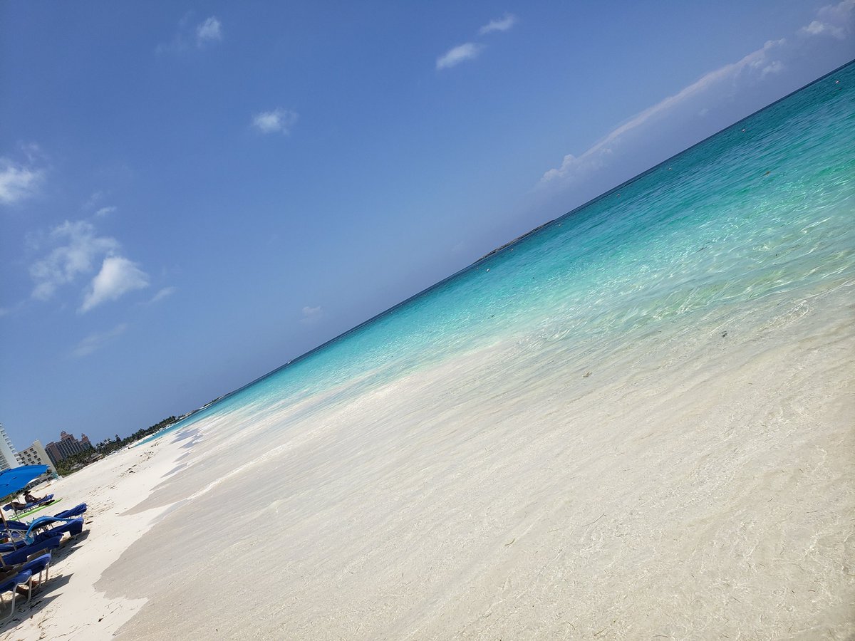 saturated_fat's tweet photo. @FSOceanClub The beach isn't bad either 😉 https://t.co/9UyAmpDAbD