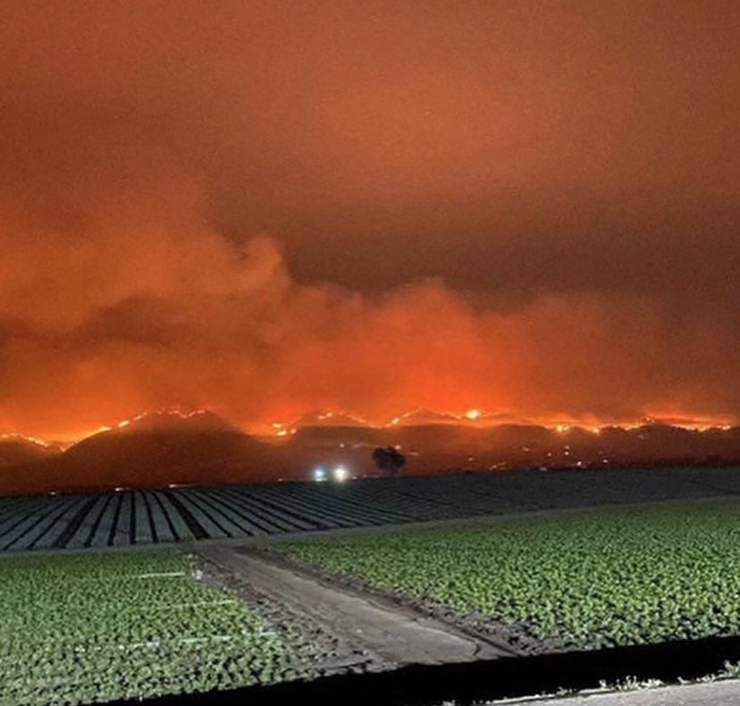 realsinyo's tweet photo. These field/farm workers are working during the fires in 100 degree weather. Let’s acknowledge them just like we acknowledge first responders. They are the reason we have food on our tables. Thank you to these heroes! ❤️ https://t.co/vNuLYILyL6