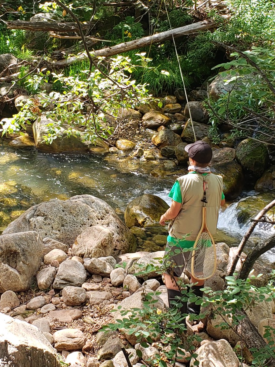 TroutUnlimited's tweet photo. One of the problems with "the movie" is that it made fly fishing seem so difficult. It needn't be so. https://t.co/70uG6uSRgb #ARiverRunsThroughIt https://t.co/KUYPP0SAyf