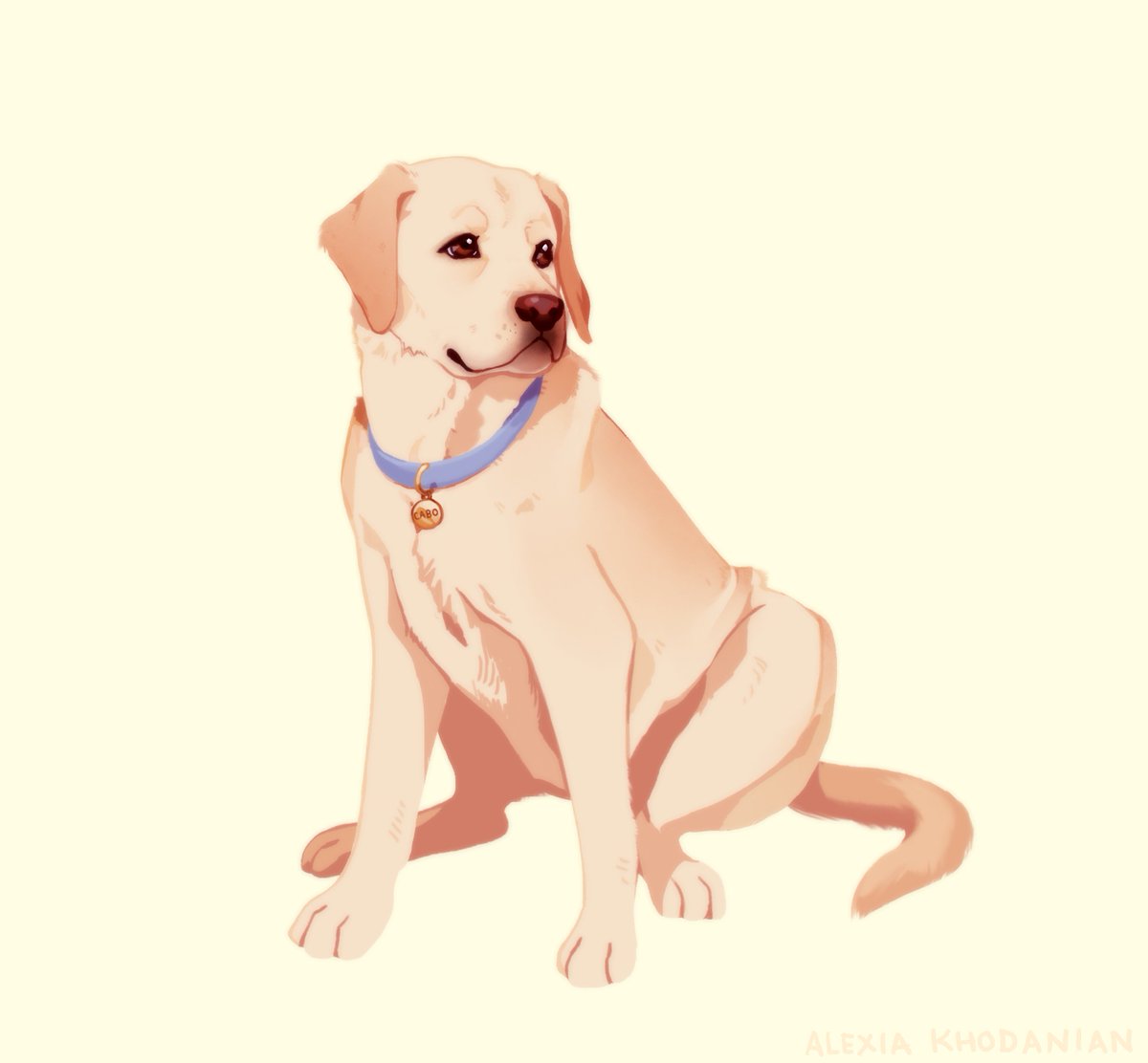  #doggust day 19: Everyone's Favorite, Labrador Retriever!