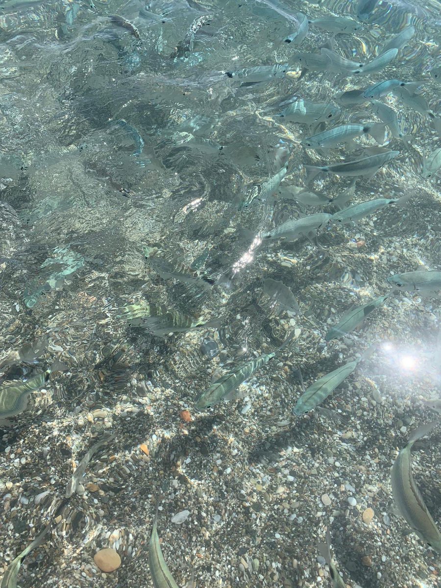 Nuestra aportación #DiaMundialdelaFotografia #WorldPhotographyDay