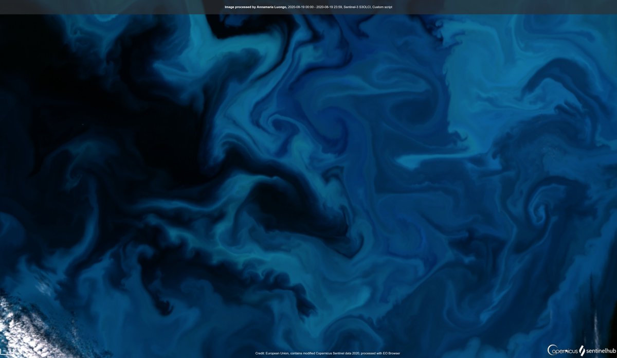 annamaria_84's tweet photo. #Phytoplancton bloom #BarentsSea, #Arctic Circle
Probably one of the most beautiful things I've ever seen.

Image acquired by @CopernicusEU #Sentinel3 #OLCI on 19 August

Image is about 500 km wide (and another part of the bloom is covered by clouds)! https://t.co/XrNa5jrwJk