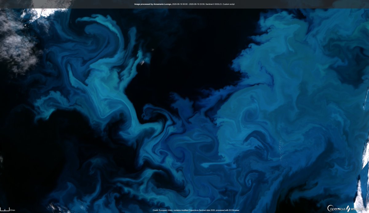 annamaria_84's tweet photo. #Phytoplancton bloom #BarentsSea, #Arctic Circle
Probably one of the most beautiful things I've ever seen.

Image acquired by @CopernicusEU #Sentinel3 #OLCI on 19 August

Image is about 500 km wide (and another part of the bloom is covered by clouds)! https://t.co/XrNa5jrwJk