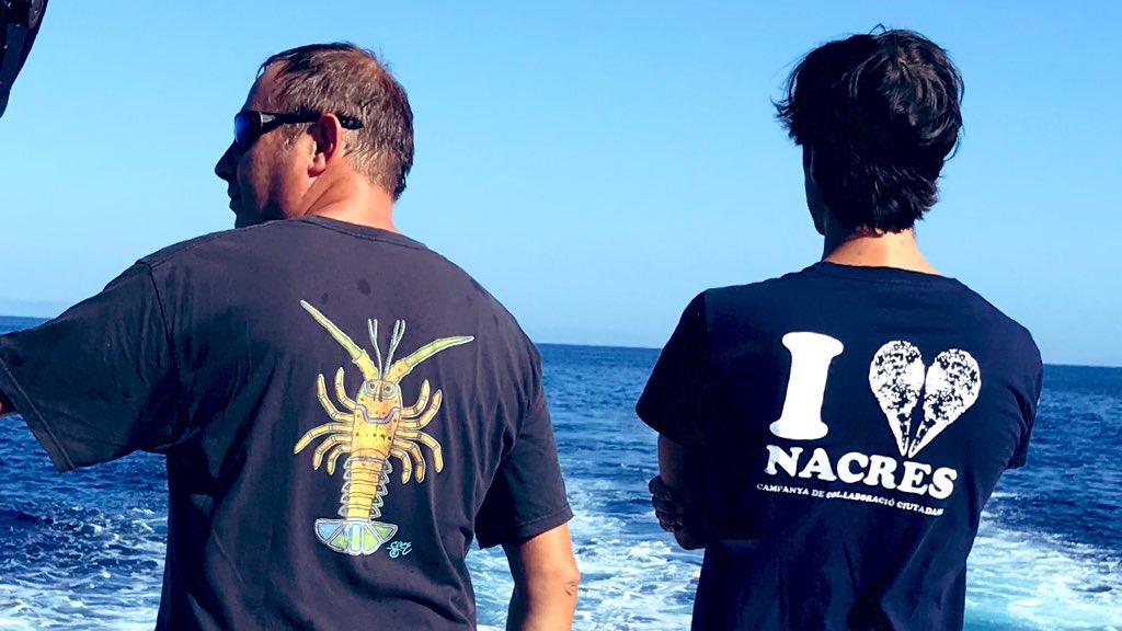 David Diaz tweet media