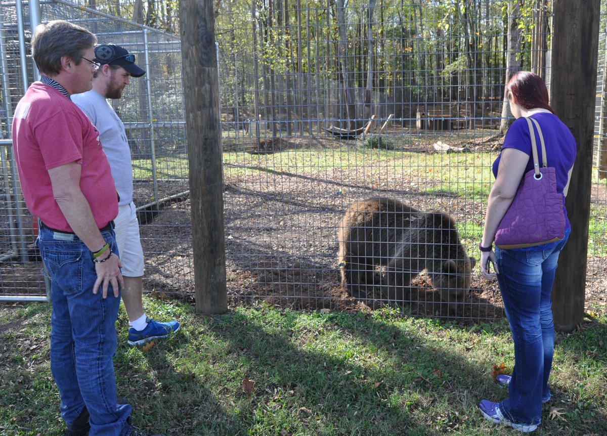 NoahsArkClub's tweet photo. Wow up your day with the Noah's Ark "WOW Tour" - An exclusive behind-the-scenes guided tour that gets you up close and personal with our animals! Visit our website for more details! https://t.co/uJT5XJRjhm  NoahsArkAnimalSanctuary #BLT #ShareTheDream #WOWTour https://t.co/HqX87ZMCmL