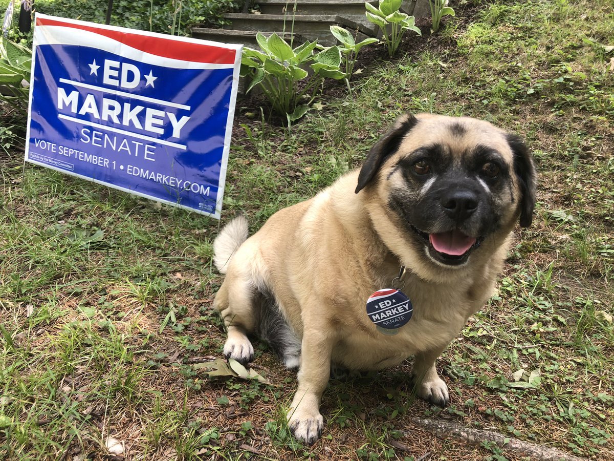Mason is here to introduce tonight’s PAWlicy topic:  @EdMarkey’s work protecting endangered North Atlantic right whales! Ed has partnered with the local maritime industry & environmentalists to fight for the whales’ safety. Here are some important actions Ed has taken: