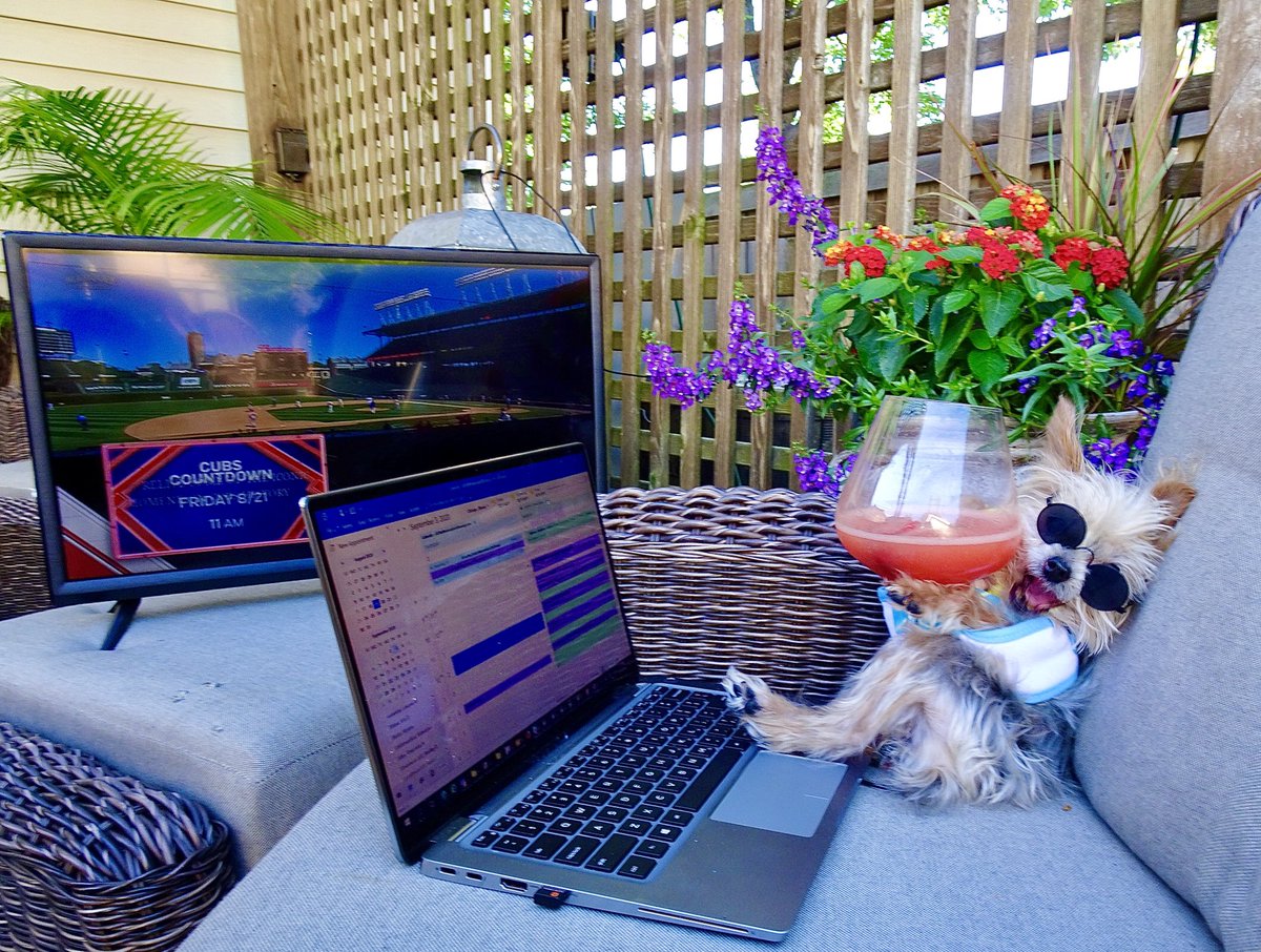 JillMonoscalco's tweet photo. Day 155 of Pawdemic 2020....Still working from home...throwing back a couple puparitas...doubt I will make it to game two #cubs #doubleheader #letsgetaW #shimanskiSheShed #chompers #dogslife #dogs #dogsoftwitter #Chicago #seniordogs @Cubs #smalldogsrule @WatchMarquee #happydog https://t.co/cxiAaTgZCH
