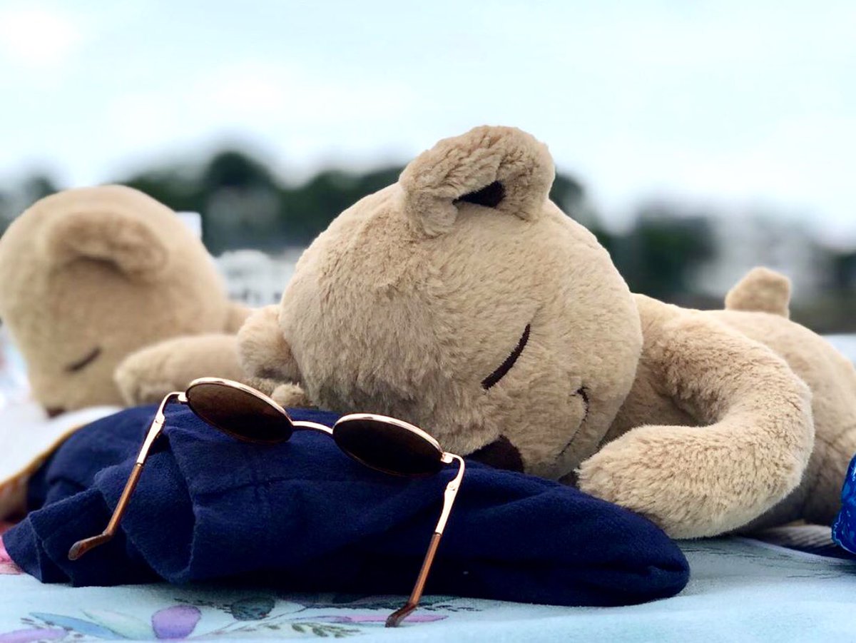 MeddyTeddyLA's tweet photo. “Every positive thought is a silent prayer which will change your life.” #meddyteddy #kidsyoga #yoga #meditate #PositiveVibes #positivity #relax #calm #mindfulness #LifeChangingTips #Wisdom #teddybear https://t.co/3ZpMYzASji