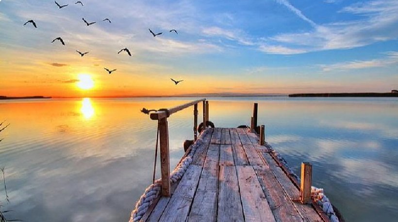 MeetPatel220599's tweet photo. "Be happy with what you have. Be excited about what you want"

   Have a positive day 🌞
#GoodMorningTwitterWorld
        #ThursdayThoughts 
#thursdayvibes 
       #ThursdayMotivation https://t.co/wfcw2VjivW