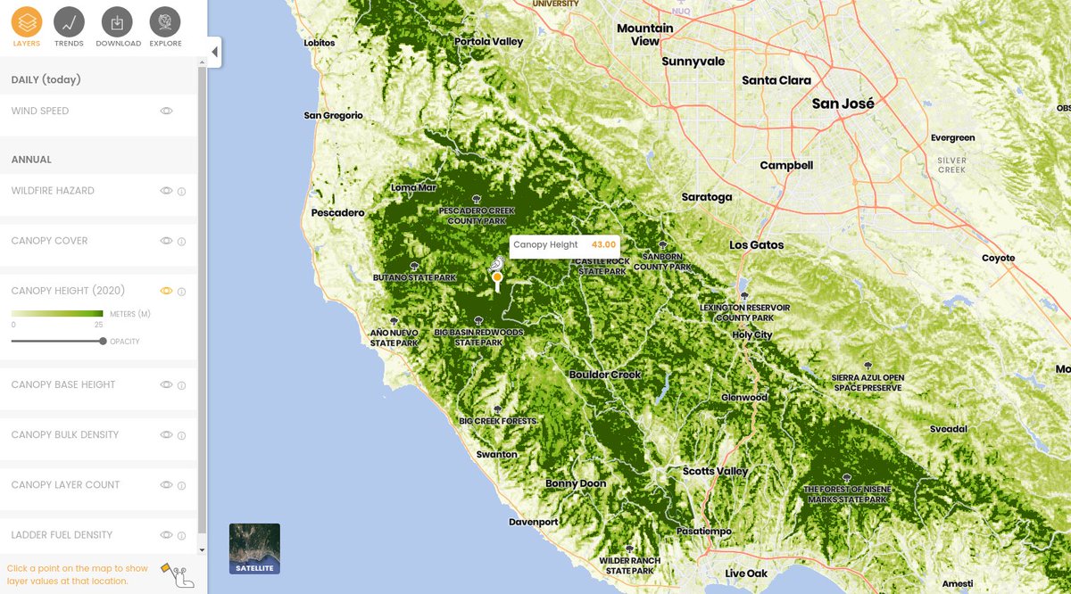 Here's a map of tree height across the region via the  @forestobs, a new forest monitoring system we're building and planning to launch next month (check it out here  https://tinyurl.com/yyczlvo5&nbsp;). It's got tons of huge trees—you can see the dense patches of redwoods in  #BigBasin.