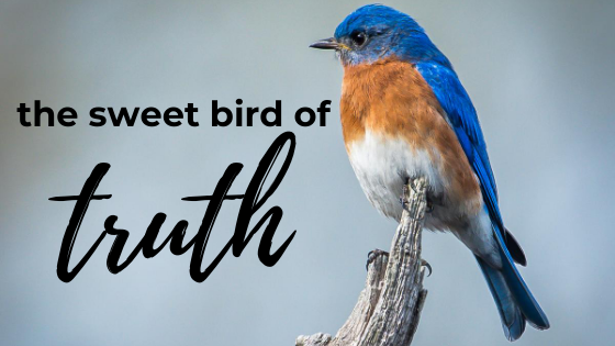 andrewjtagg's tweet image. For my @Monash_CPDMOE #EdTech2020 assignment, I decided to do it online

*bonus points if you get the musical reference