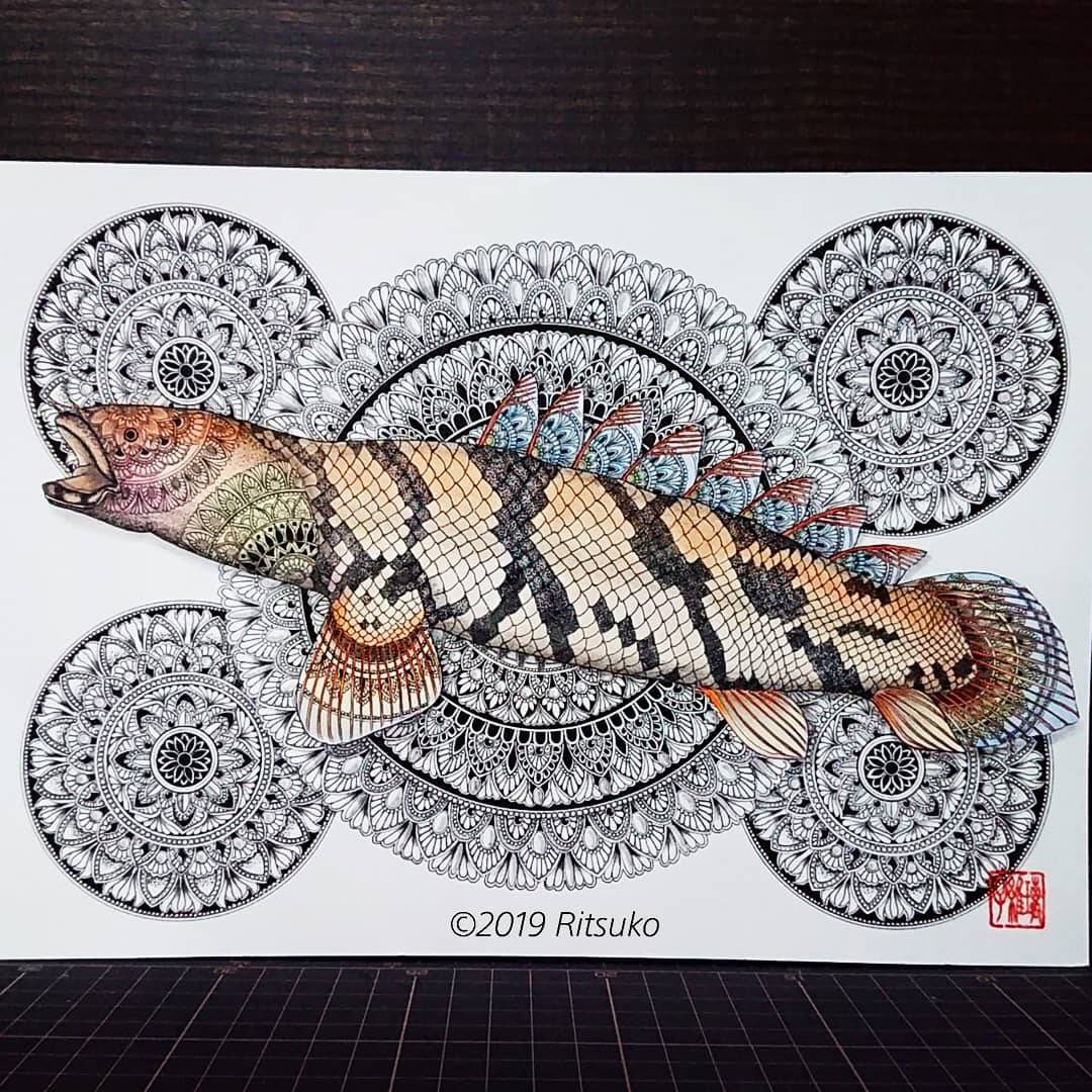 ritsukoart's tweet image. ritsuko-wart.jimdo.com