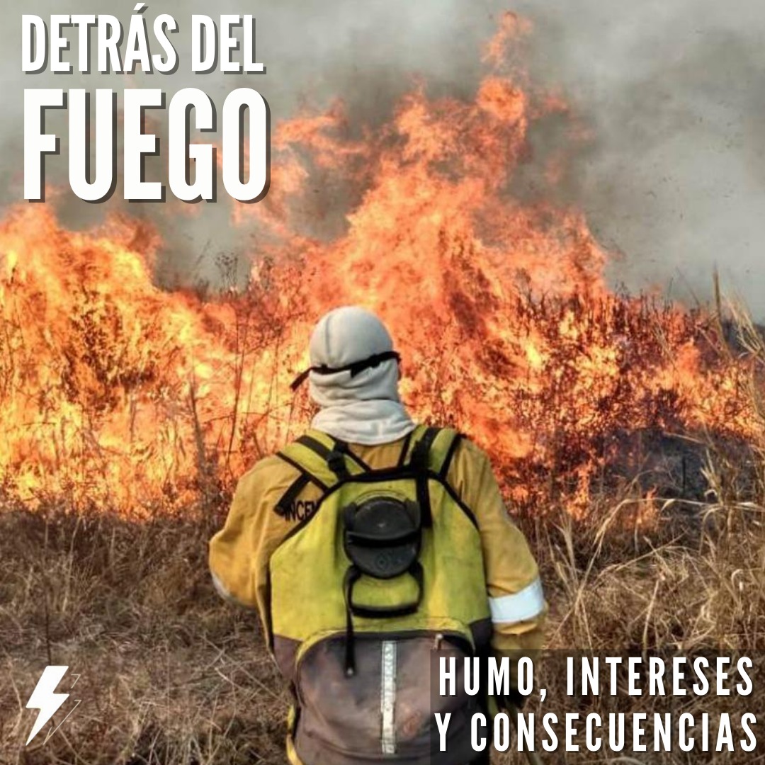 voltaje_tv's tweet photo. MENOS NEGOCIO, MAS ECOSISTEMA 🌿 I Melany De Juana
.
La deforestación y la quema de pastizales en el Delta del Paraná encendió las alarmas de un problema histórico en en nuestro país.
.
Mira la nota completa acá: https://t.co/s9wcnjegPV
#informaciondinamica #voltajetv https://t.co/zc1coyunn8