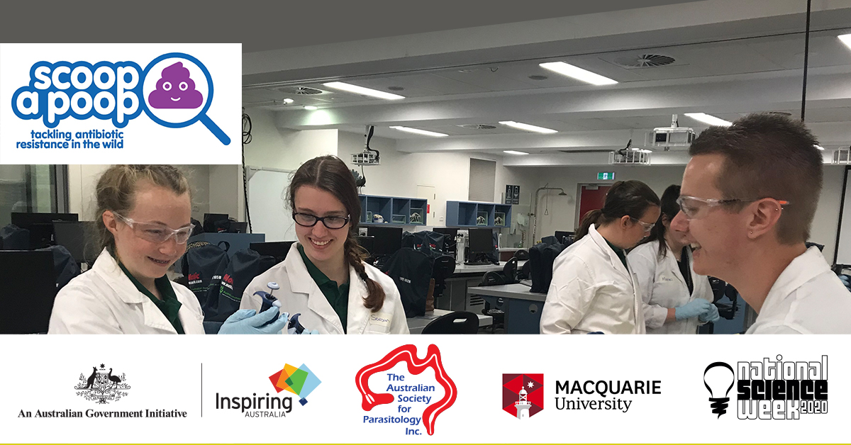 AS_Para's tweet photo. #ScoopAPoop workshop today 20 Aug 130pm AEST #FreshFromTheField and #LiveFromTheLab #Antimicrobial #Resistance #virtual #parasite fun #ScienceWeek @DrMichellePower https://t.co/Ri6RUwgK5Y @Aus_ScienceWeek @inspiringaus @QLD_ScienceWeek @InspiringNSW @MQBiology @ScienceAU https://t.co/0Iij7yDuUh