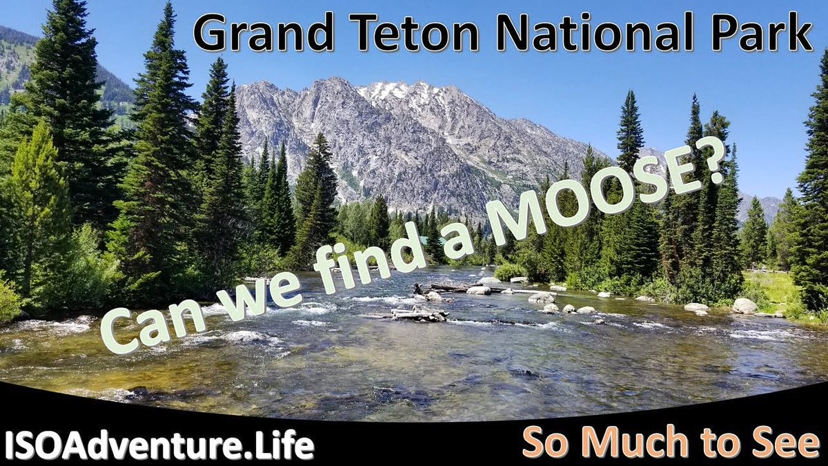 iceman_23's tweet photo. New YT video - We had a great visit in the Teton NP https://t.co/ogyYFaRtdT

#isoadventurelife #isoadventure #Wyoming #grandtetons #grandtetonnationalpark #starvalleywyoming #djiosmopocket #jennylake #jacksonlake #moose #mountains #rvlife https://t.co/buqDNwEtP3