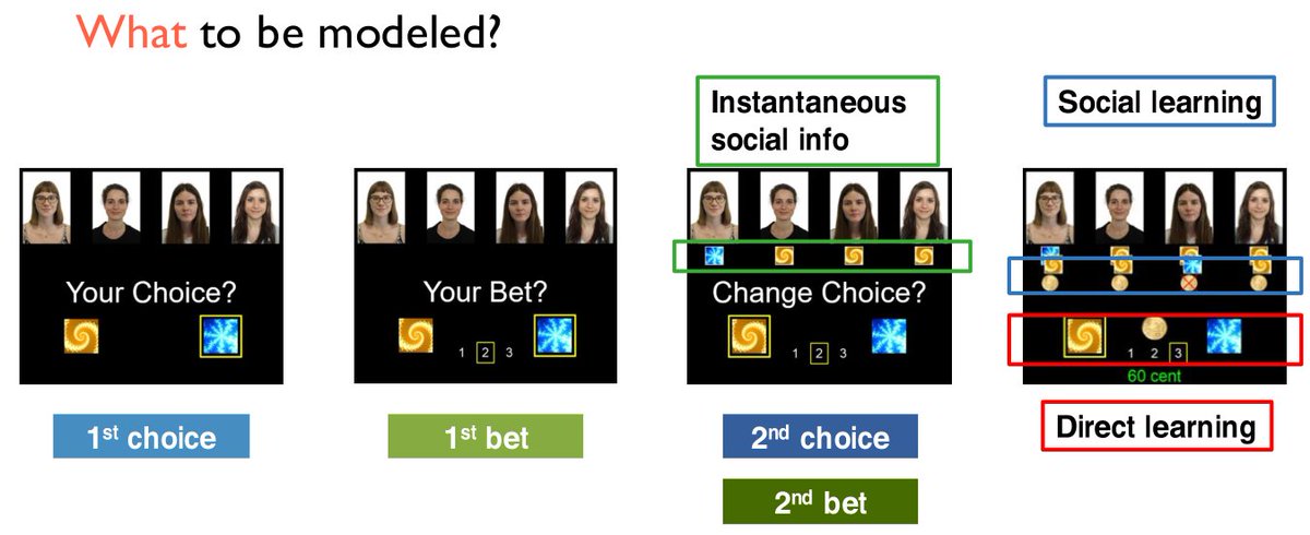But what are the possible computations? We asked ourselves, what could be the recipes for the model? Importantly, besides the behavior, there is instantaneous social information (before seeing outcome) and potentially social learning (after seeing outcome). (5/15)
