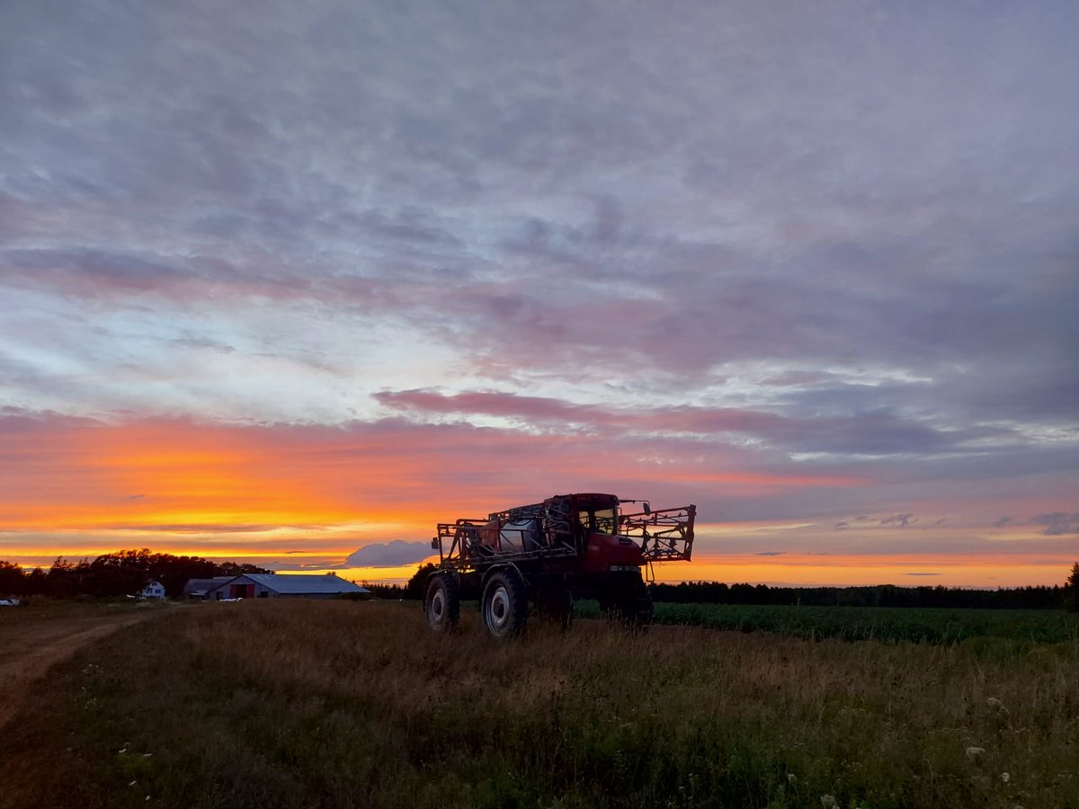 Will Van De Wetering (@spudislefarms) on Twitter photo 