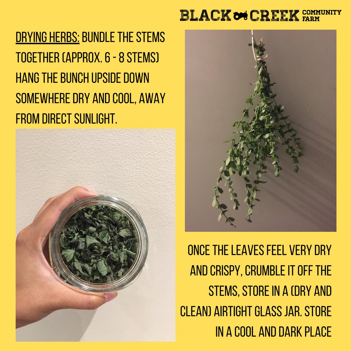 Black Creek Community Farm tweet media