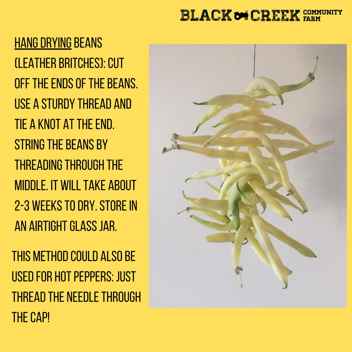 Black Creek Community Farm tweet media