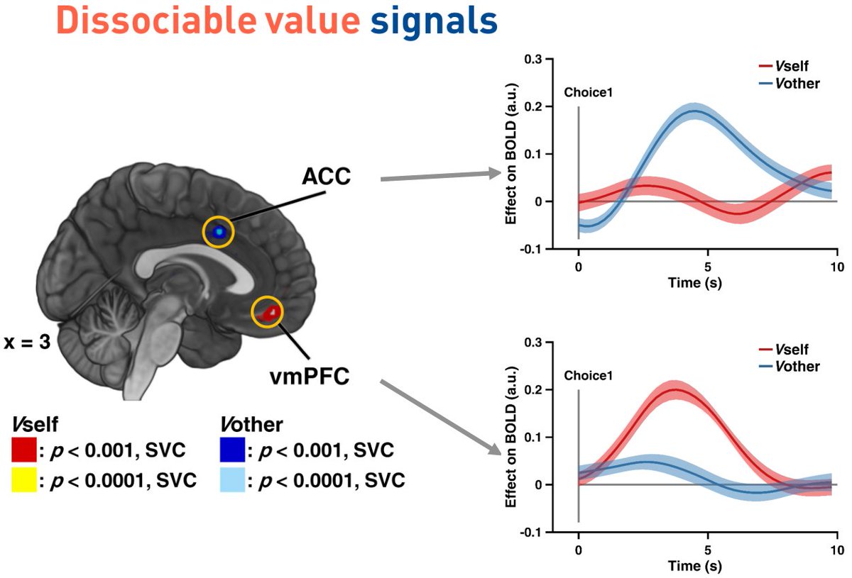 We observed dissociable value signals: value from direct learning is only associated with vmPFC, yet value from social learning is only related to ACC. This is nicely compatible with a fab recent review on social learning by  @EmotionLabKI etal. (8/15)  https://www.nature.com/articles/s41583-020-0276-4