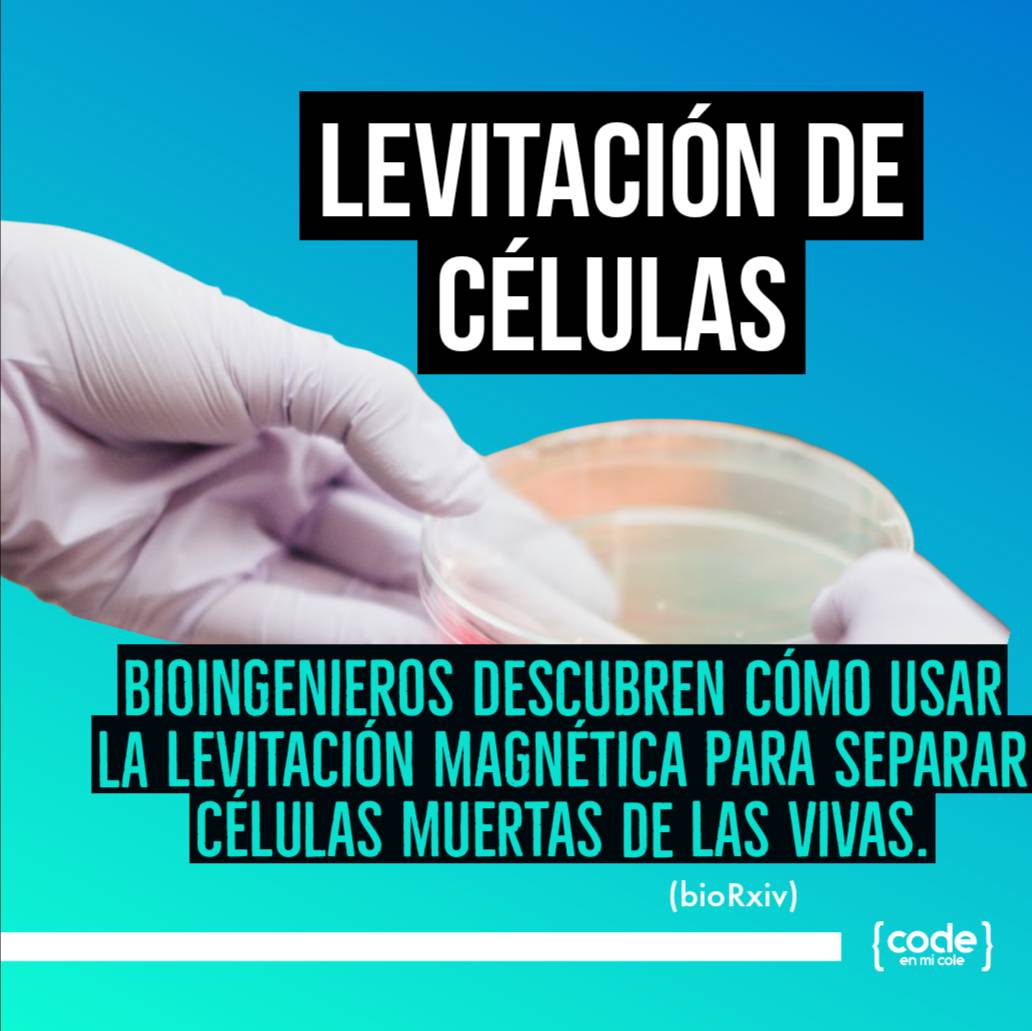 codenmicole's tweet photo. Te dejamos 4 #noticias de ciencia y tecnología que deberías conocer ¿Lo sabías? https://t.co/2mOBTk9e5h