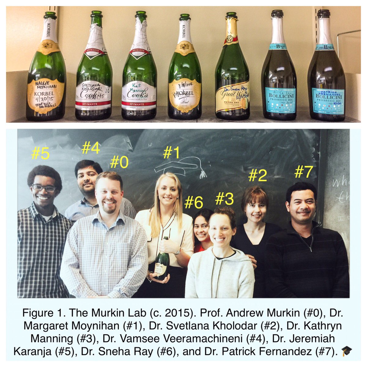 Patrick Fernandez tweet media