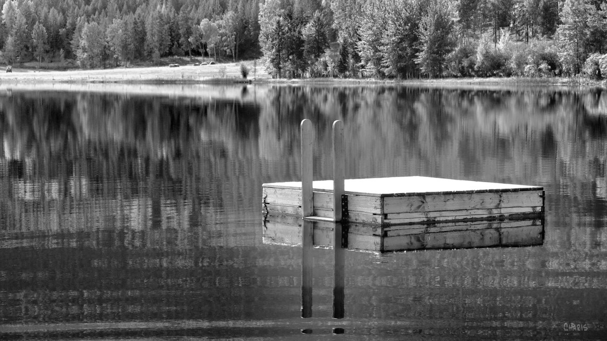 CharisPsallo's tweet photo. Pond #Mayook #BritishColumbia #photography #Kootenays #summertime https://t.co/35dL8mtdhA