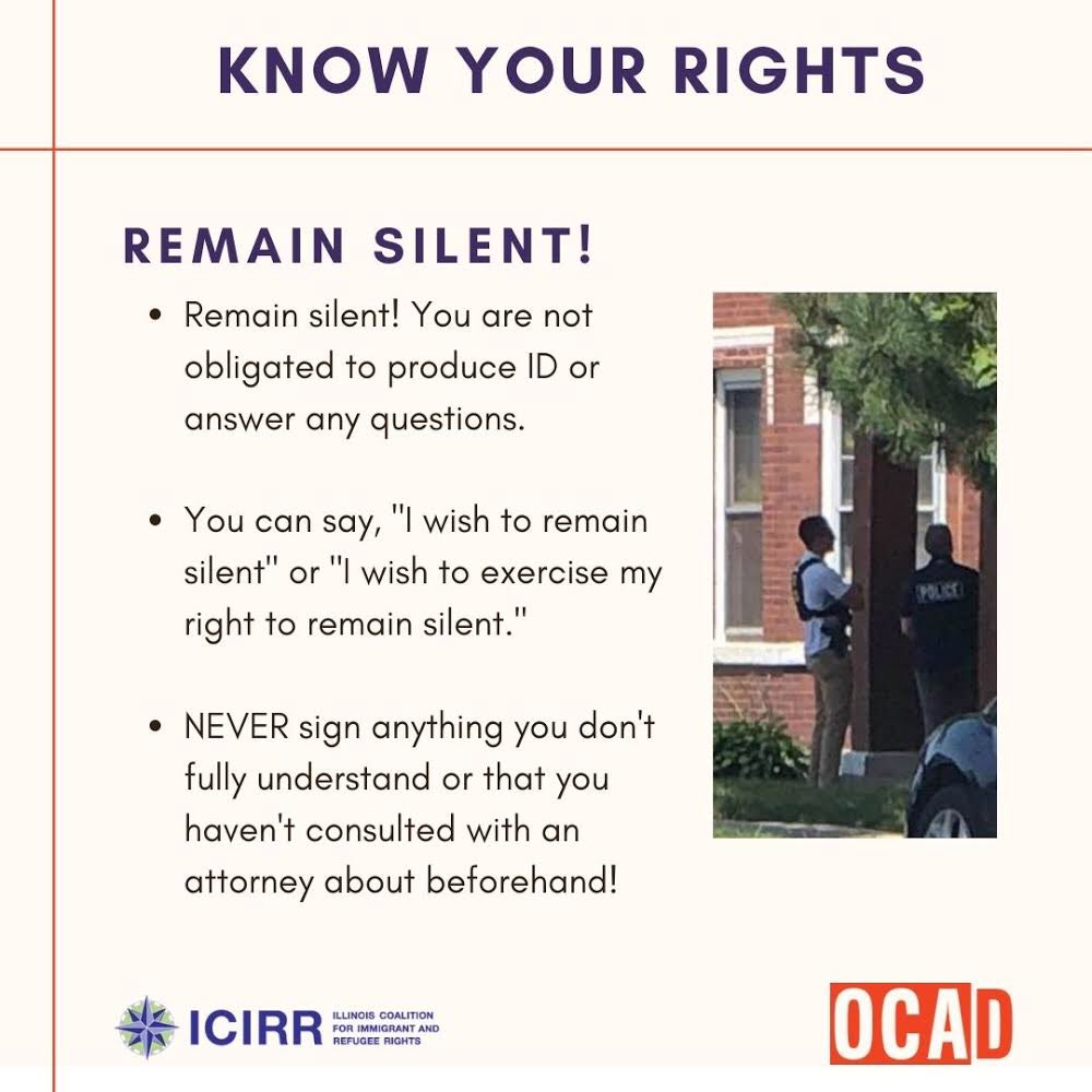 IL Immigrant Rights tweet media