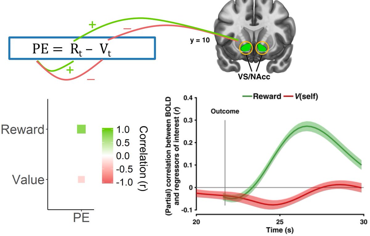 We also found the well-known reward prediction error (RPE) in VS/NAcc. We looked into RPE's subcomponents to justify that VS is encoding RPE, rather than outcome valence. We recently articulated this approach in a tutorial paper. (9/15) https://academic.oup.com/scan/article/15/6/695/5864690