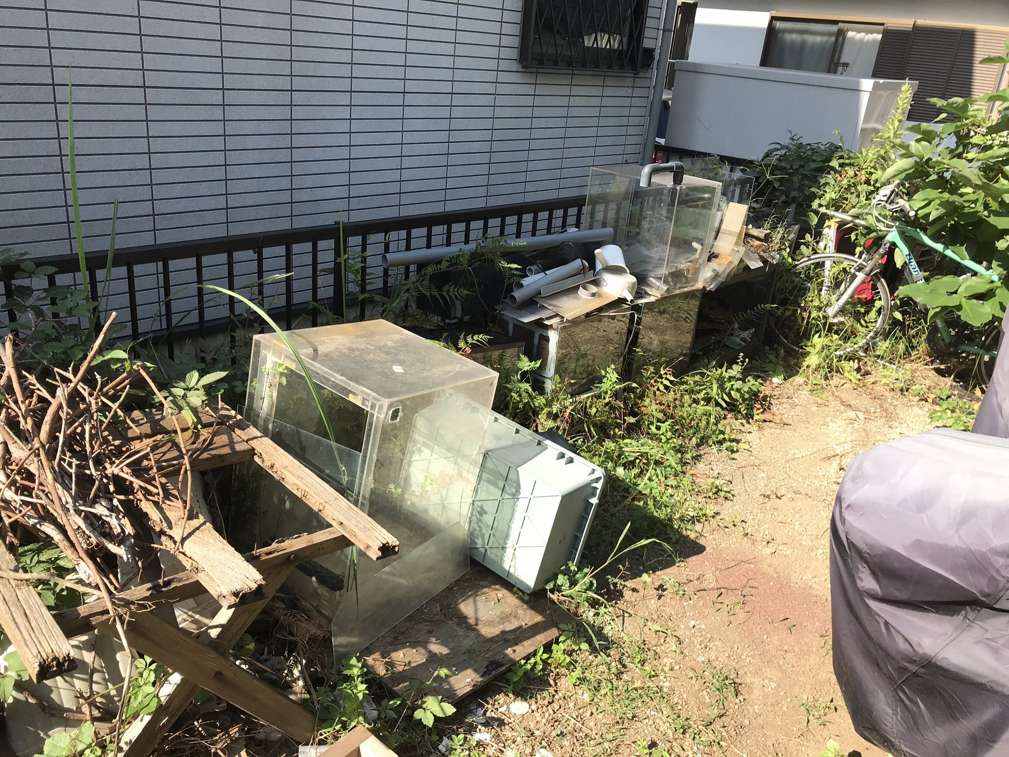 ぐれっグル とりあえず 普通にゴミとして出せる分を先に片付けた で 必要な物と要らない物でまとめて これで事前準備はほぼ完了 ゴミ 庭 片付け T Co S0wng38jyu Twitter ぐれっグル とりあえず 普通にゴミとして出せる分を先に片付けた で 必要な物と要らない物でまとめて これで事前準備はほぼ完了 ゴミ 庭 片付け T Co S0wng38jyu Twitter