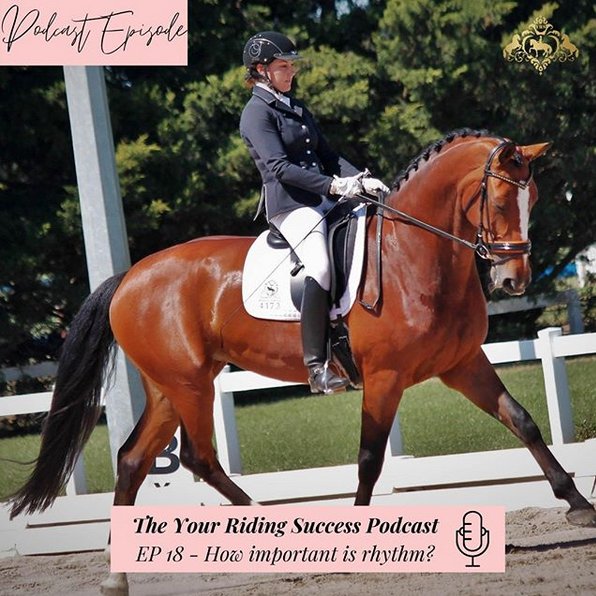 RidingSuccess's tweet photo. In this week's podcast episode, Natasha talks about the importance of having good rhythm when riding your horse and how to ensure your horse is doing the correct rhythm.⁠
⁠
Available to download now on Apple Podcasts or Spotify.⁠ ⁠https://t.co/Ijl4J74VtU 

#yourridingsuccess https://t.co/UCH4igUuvt