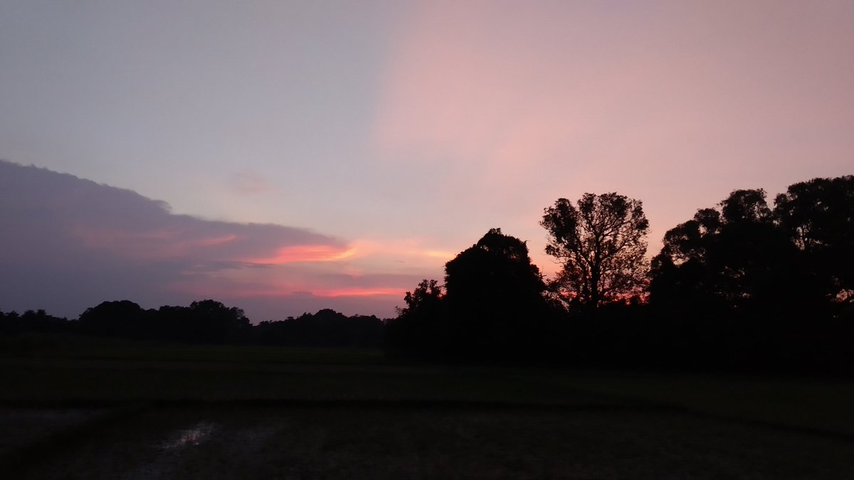 Sakshi41100561's tweet photo. #WorldPhotographyDay #19August2020 
इतनी रंग बिरंगी दुनिया ,कोई दो आंखो से कैसे देखे❤️❤️📸📷🎥
#pc_me📸❤️ https://t.co/5c3wILYh8U