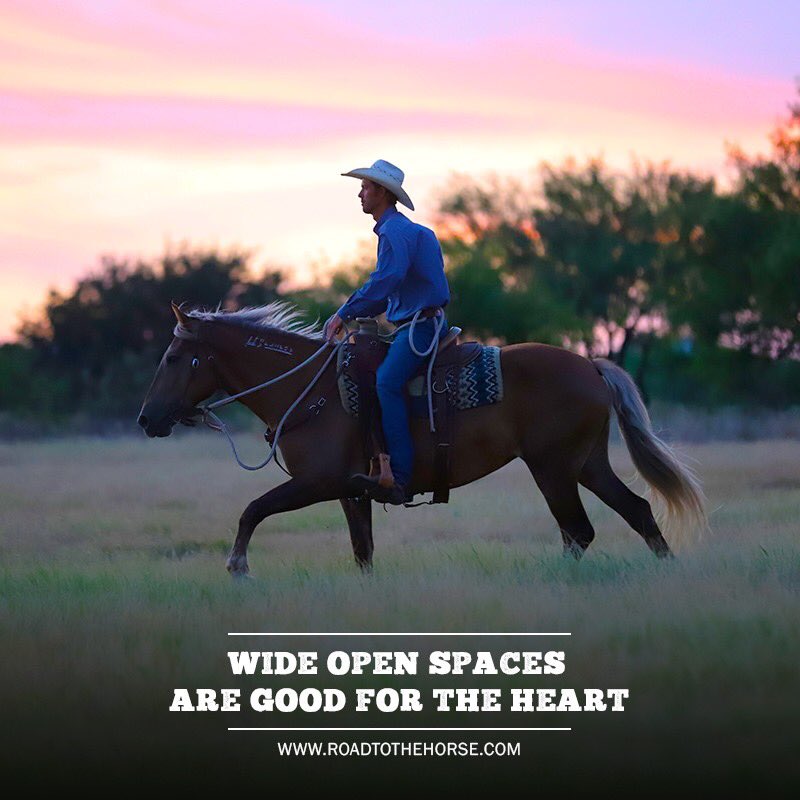 Saddle up. Breathe In. Breathe Out. #RTTH #CraigMoore #WildCard
