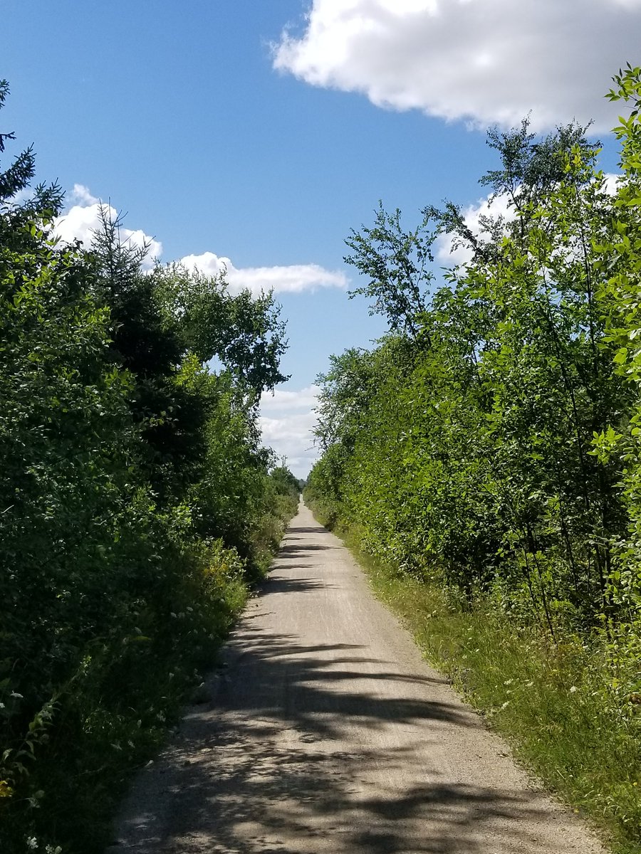 pedalrosey's tweet photo. It was a #bluesky and #puffycloud kind of day! And with a little #gravel mixed in for fun ๐ #gobybike #g2g #annamaes https://t.co/J4KZj2DaWz
