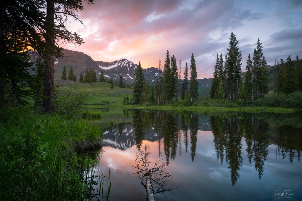 GPPhotos's tweet photo. Robin's Repose || Lake Irwin - Sunset falls over a small pond near Lake Irwin in Summer with Ruby Peak peeking through and a robin redbreast drops by to pose photogenically center frame offering songs of hello as we shared watching the sunset 

 https://t.co/vmsisvEnj3 https://t.co/9H4g3wruqf