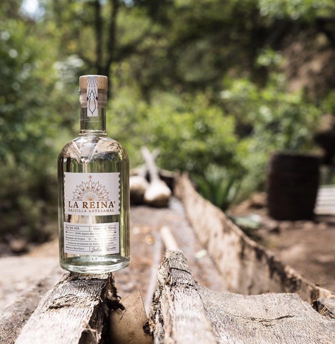 luvit's tweet image. El #Tequila y el #Mezcal no son los únicos destilados mexicanos. Conoce otros tipo de destilados 100% mexicanos.