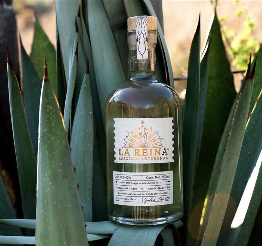 luvit's tweet image. El #Tequila y el #Mezcal no son los únicos destilados mexicanos. Conoce otros tipo de destilados 100% mexicanos.