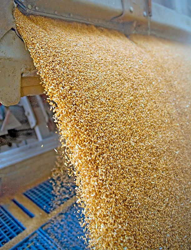 Article "Can you go with the Flow? Solids Flowmeters for Industrial Applications" by M. Morrisey – news.bulk-online.com/bulk-solids-ha… ; publ. in bulk solids handling (2014), found on bulk-online.com, <a href="/siemensindustry/">Siemens Industry</a>, #bulkmaterialhandling, #processengineering, #flowmeasurement