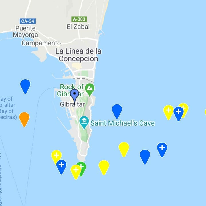 NautilusGib's tweet photo. The Bay of #Gibraltar was teeming with marine wildlife yesterday afternoon
#commondolphin #stripeddolphin #atlanticbluefintuna #coreyshearwater #oceanicsunfish
#NEMO https://t.co/Kr3CXRAXsz